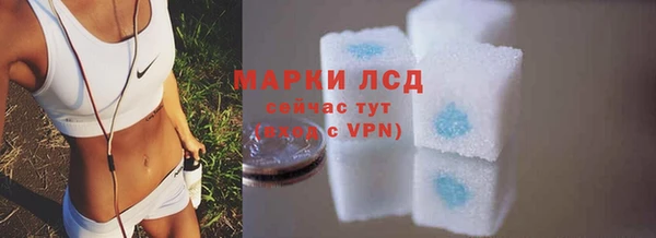 сатива Армянск