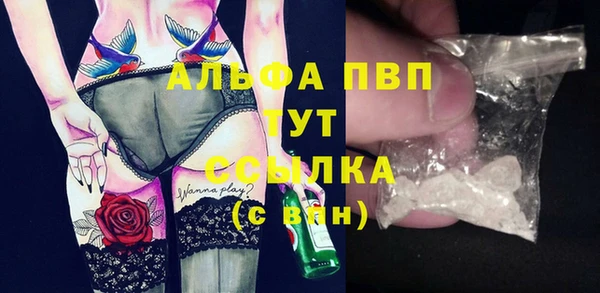 сатива Армянск