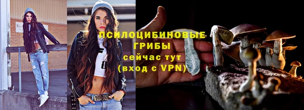 сатива Армянск