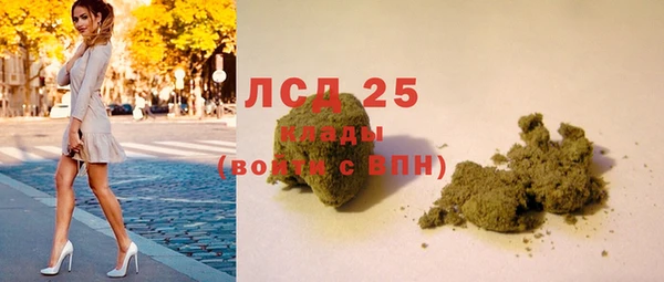сатива Армянск