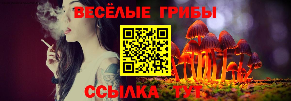магазин продажи   Галлюциногенные грибы мухоморы  Вход с VPN  Ейск 